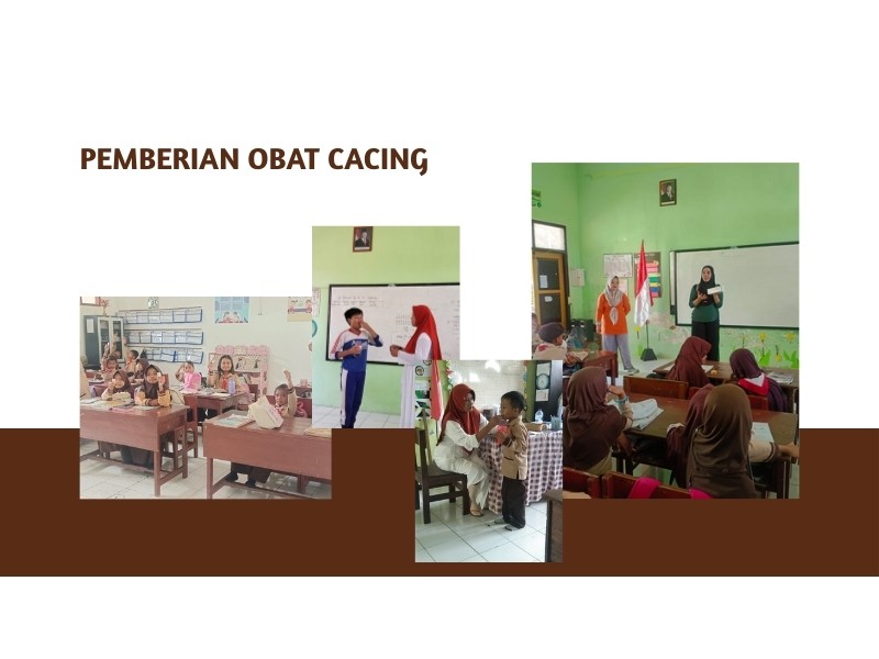 Pemberian Obat Cacing